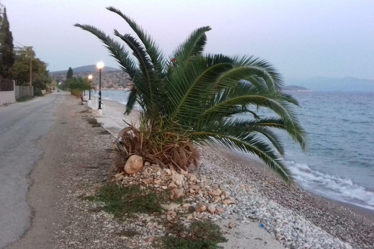 Family House Near The Beach Drepano-Nafplio المظهر الخارجي الصورة